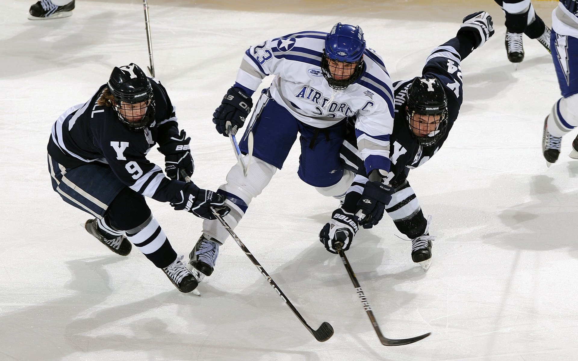 “彭尤蝶泳自由泳逐梦东京，实力再创新高”