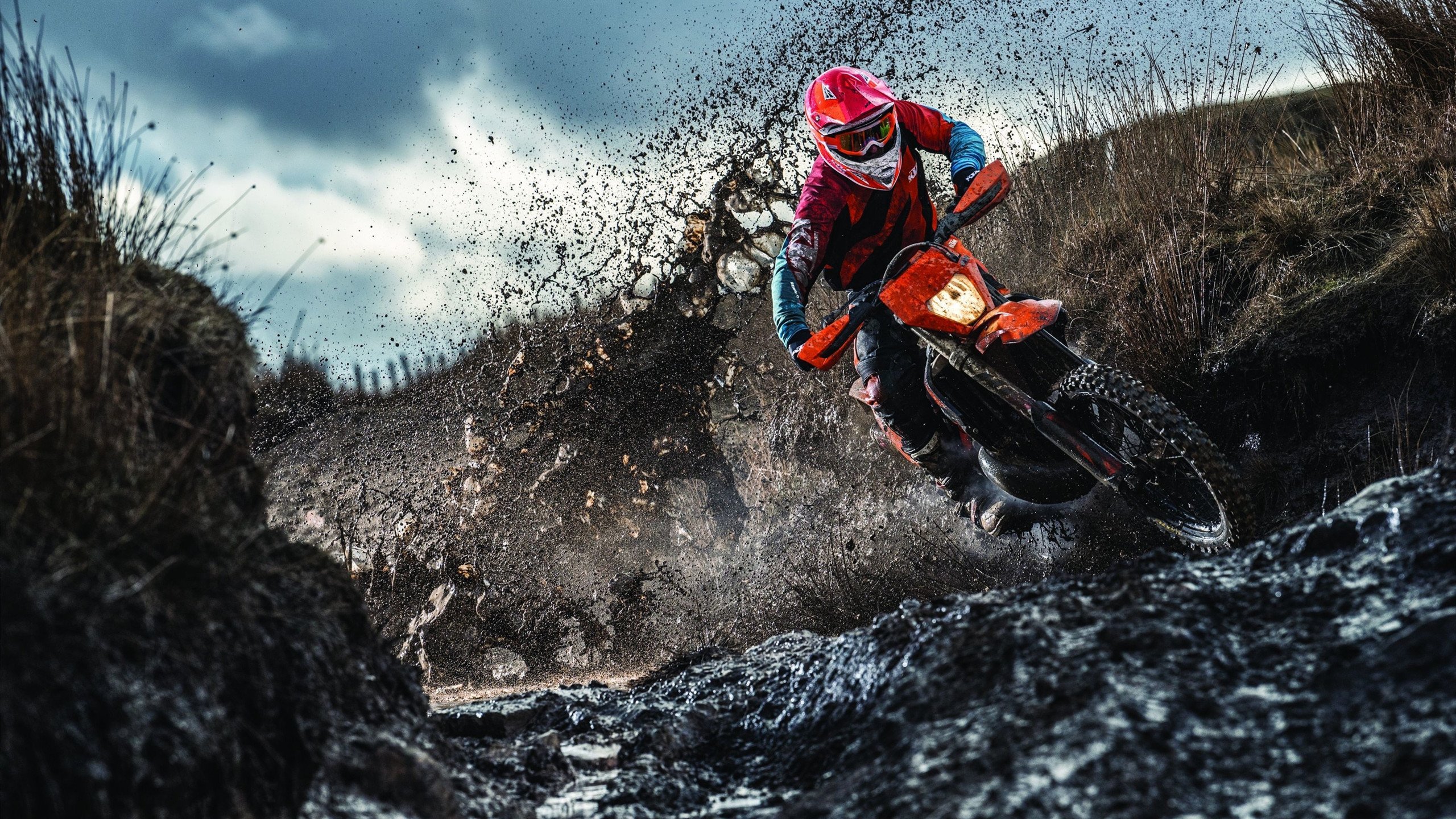 印度赛制的独特机制：从草根到国际赛事的突破，印度公开赛是排名赛吗